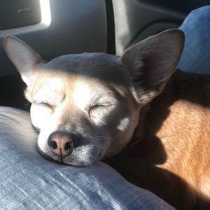 Meet your Posher, Kristina